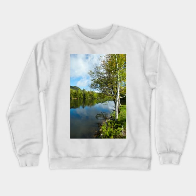 Spring Birch Woodard Reservoir, Vermont Crewneck Sweatshirt by srwdesign